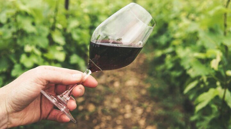 Wine tasting from the finest local varieties