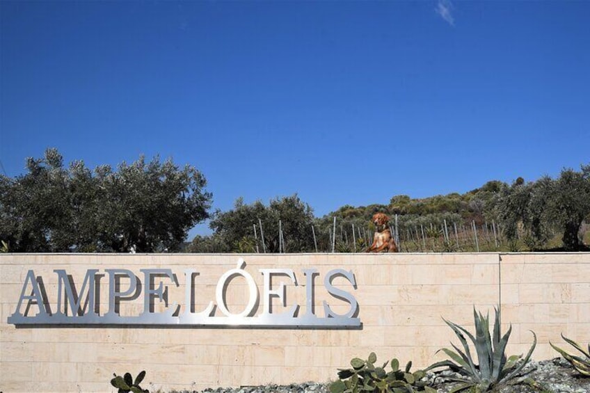 Ampeloeis Winery