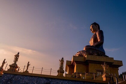 ティンプーの魅力に迫る