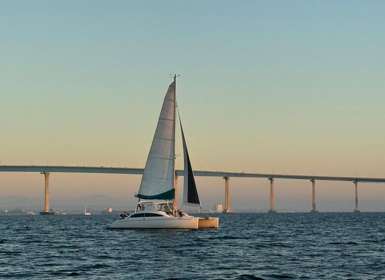 Picture 6 for Activity San Diego Bay: Pure Catamaran Sailing Cruise