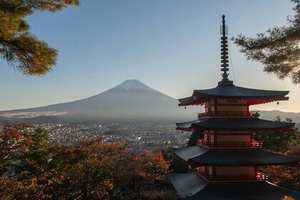 从东京出发的富士山私人一日游，带司机和热门照片景点