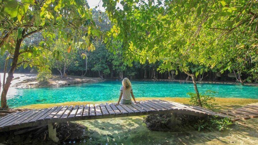Emerald Pool & Tiger Cave Temple One-day Rainforest Tour