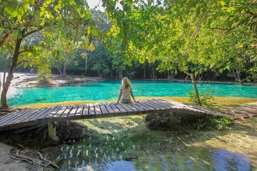 Emerald Pool & Tiger Cave Temple One-day Rainforest Tour