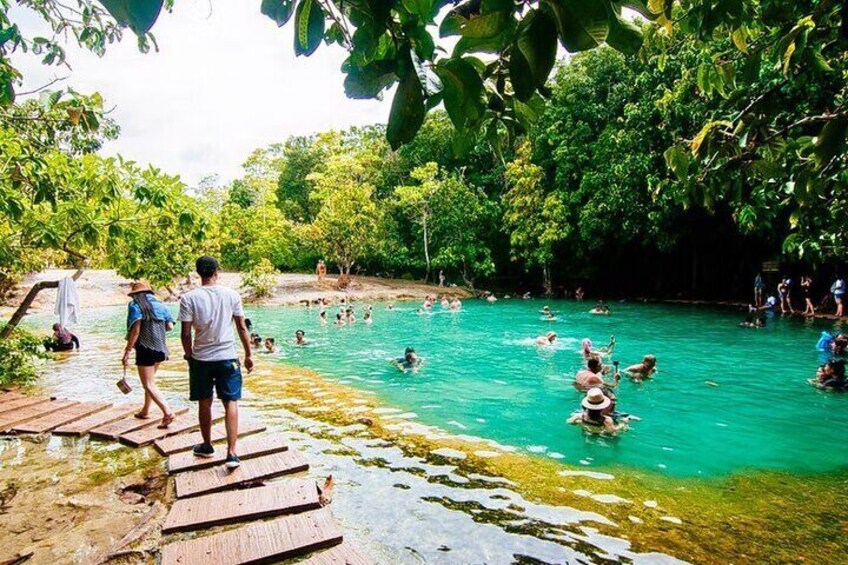 Emerald Pool & Tiger Cave Temple One-day Rainforest Tour