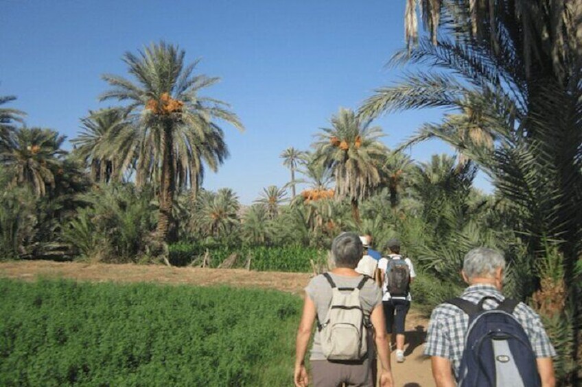 Taroudant & Tiout Highlights, Full Day Trip With Lunch - Agadir