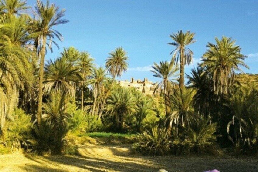 Taroudant & Tiout Highlights, Full Day Trip With Lunch - Agadir
