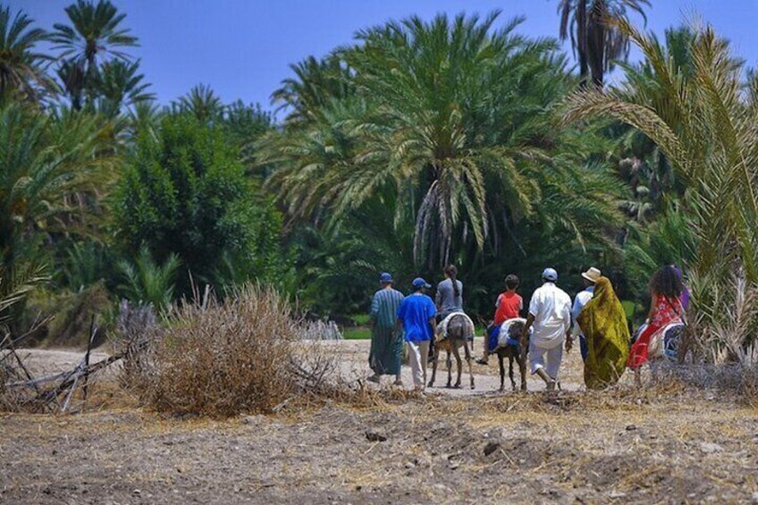 Taroudant & Tiout Highlights, Full Day Trip With Lunch - Agadir