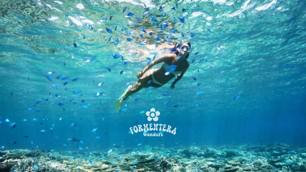 Ibiza: Formentera Beaches Cruise w/paella, drinks and Sports