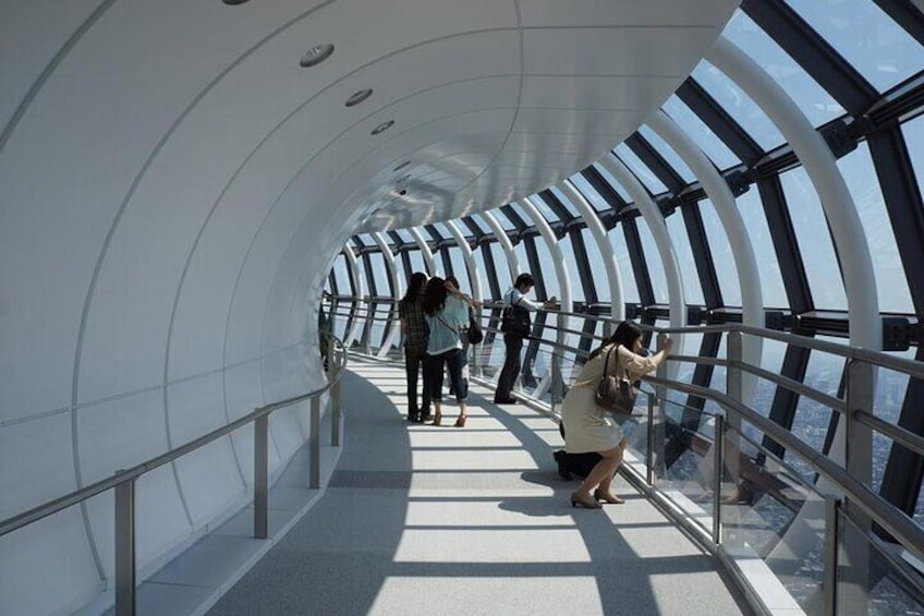 See out-of-this-world night views 350m off the ground