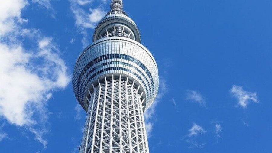 Take in outstanding landscape views of Tokyo and appreciate the beauty of the city