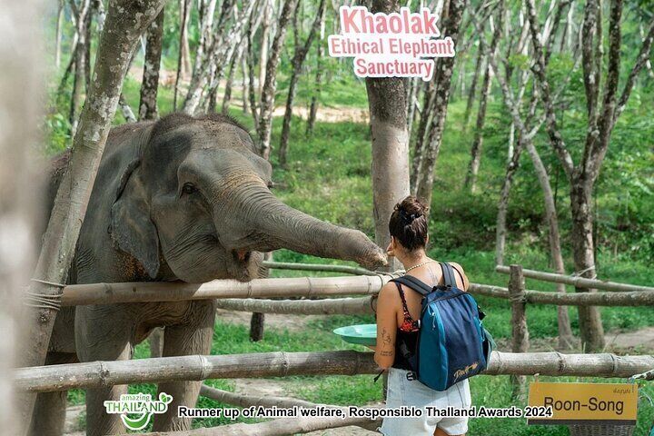 Khao Lak Ethical Elephant Sanctuary Conservation Experience