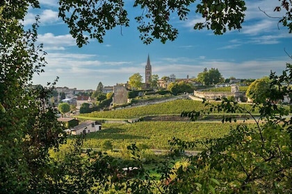 Full Day Private Tour in Saint Èmilion and Médoc