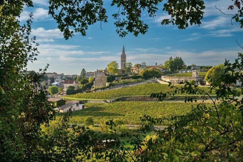 Full Day Private Tour in Saint Èmilion and Médoc 