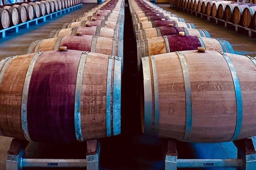 Full Day Private Tour in Saint Èmilion and Médoc 