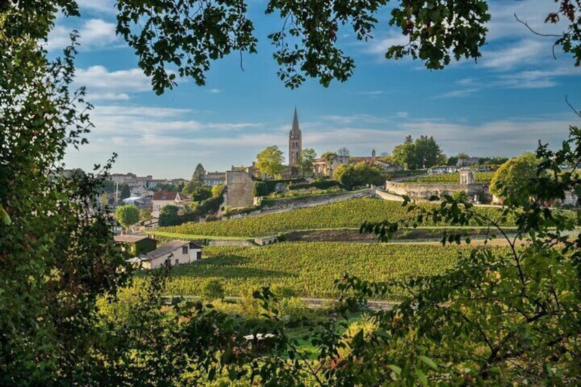 Private Tour to Saint Emilion and Pomerol 