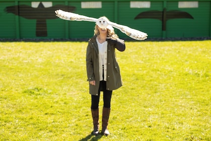 從都柏林出發:莫赫懸崖、船遊覽和艾爾威洞穴