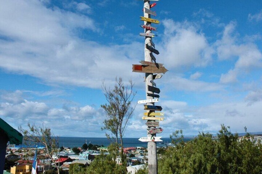 Punta Arenas City Tour Shore Excursion