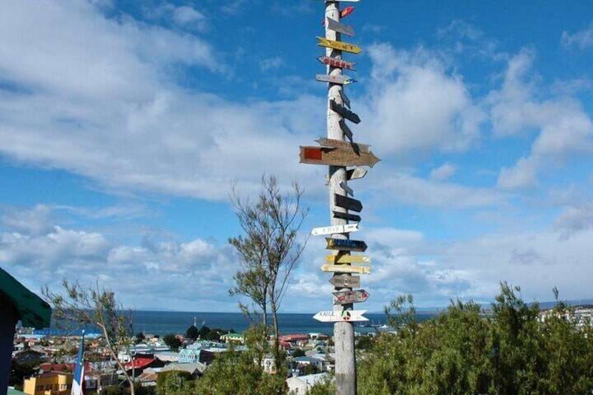 Punta Arenas City Tour Shore Excursion