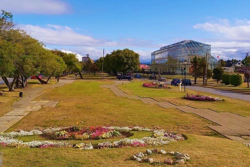 Punta Arenas City Tour Shore Excursion