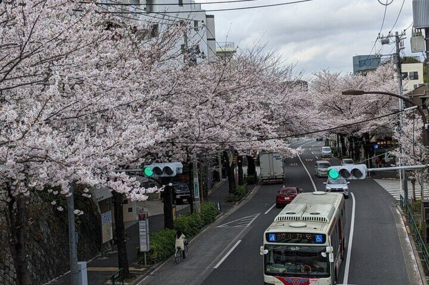 Tokyo Nakano Food and Cycling Local Life Tour