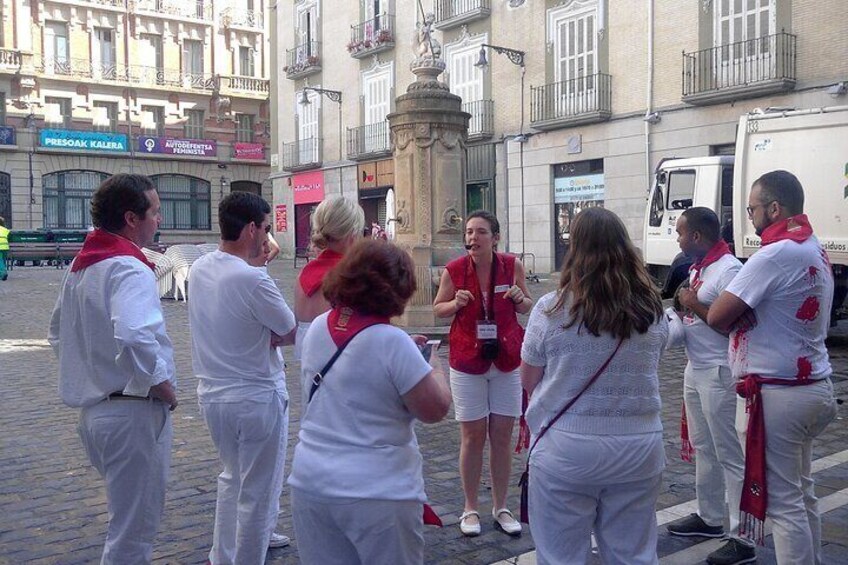 San Fermin Tour Discover the Festivals of Pamplona
