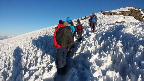 Kilimanjaro: Marangu Route 5 Days Trek