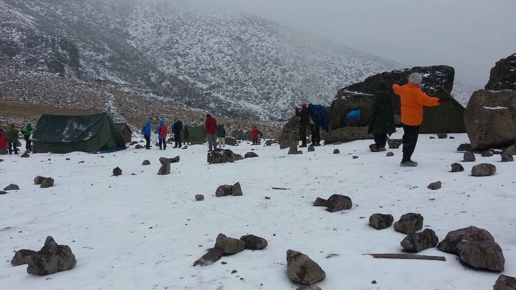 Picture 1 for Activity Kilimanjaro: Marangu Route 5 Days Trek