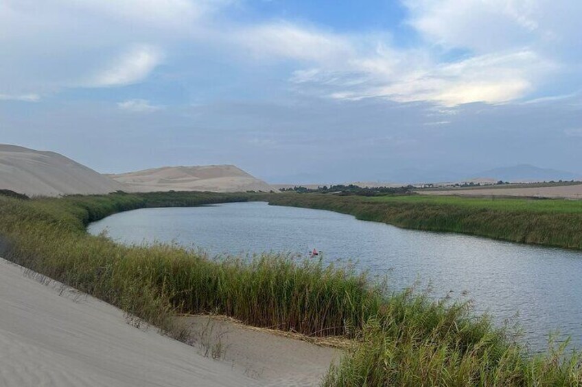 2 Days Private Tour from Lima to Paracas & Huacachina