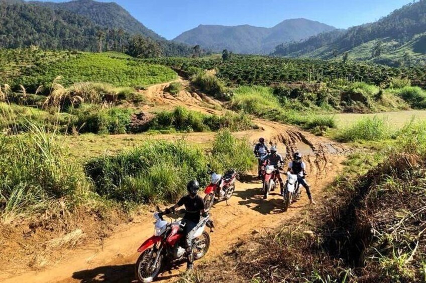 Nha Trang – Lak Lake – Dalat - Nha Trang ( 3 Days / 2 Nights )