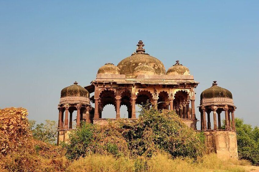 Two Night Safari Experience Ranthambore National Park &Transfers