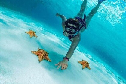 Tour de El Cielo con buceo de arrecife desde Cozumel