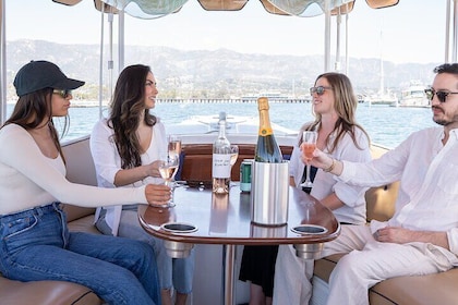 Private Harbour Cruise on Electric Boat in Santa Barbara