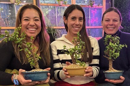 Bonsai Class in San Francisco: Make & Take Home a Bonsai Tree!