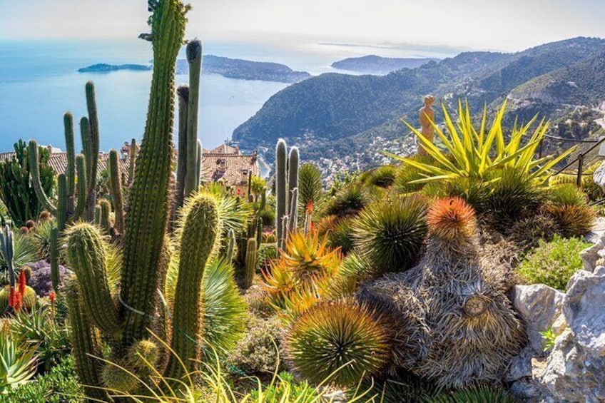 Exotic garden in Èze
