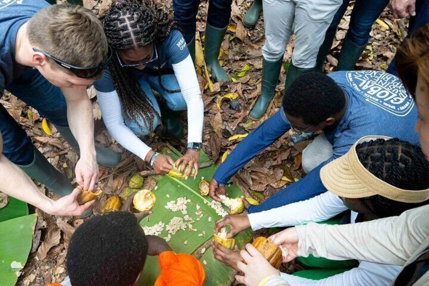  Ghana Chocolate Tasting Experience 