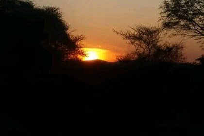 from cape town Aquila game reserve Sunset Safari Drive Exclusive