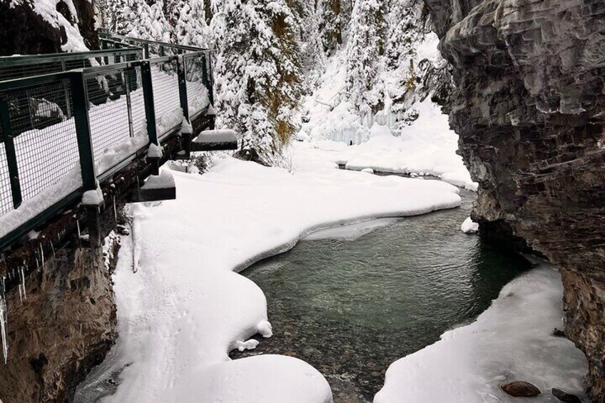 Calgary to Louise, Moraine, Emerald Lake and Johnston Canyon Tour