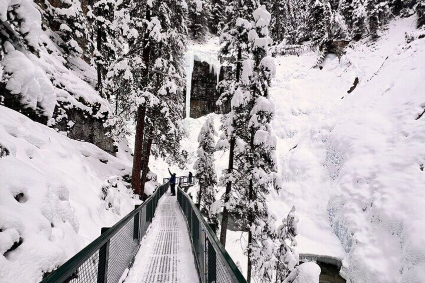 Calgary to Louise, Moraine, Emerald Lake and Johnston Canyon Tour