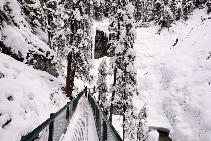 Calgary to Louise, Moraine, Emerald Lake and Johnston Canyon Tour