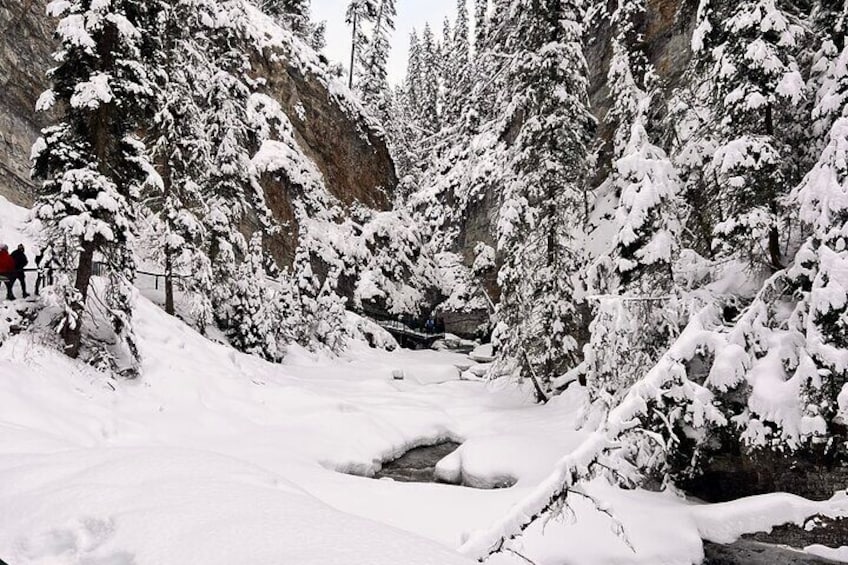 Calgary to Louise, Moraine, Emerald Lake and Johnston Canyon Tour
