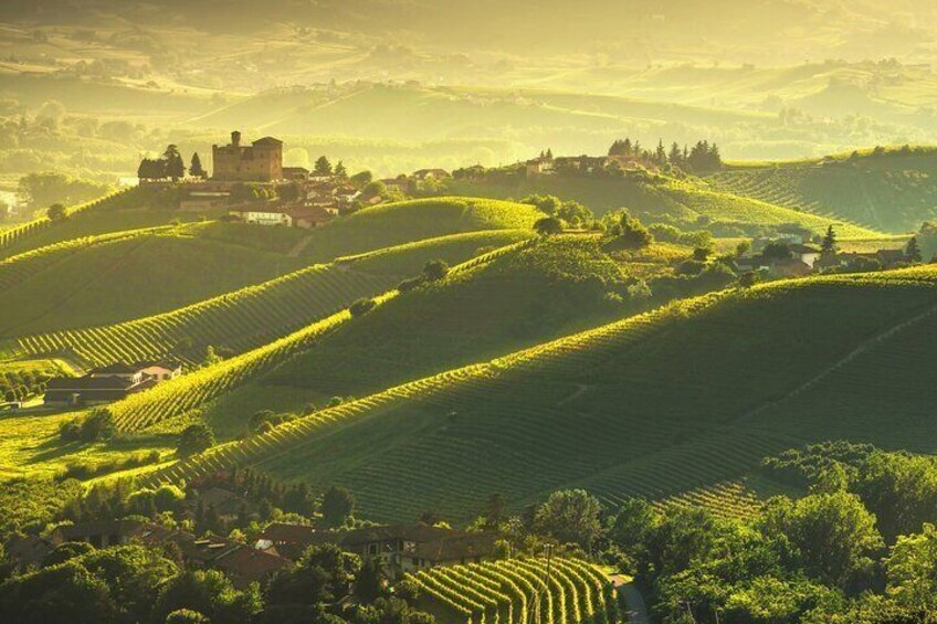 Barbaresco Wine Tasting, Piedmont & Alba from Milan