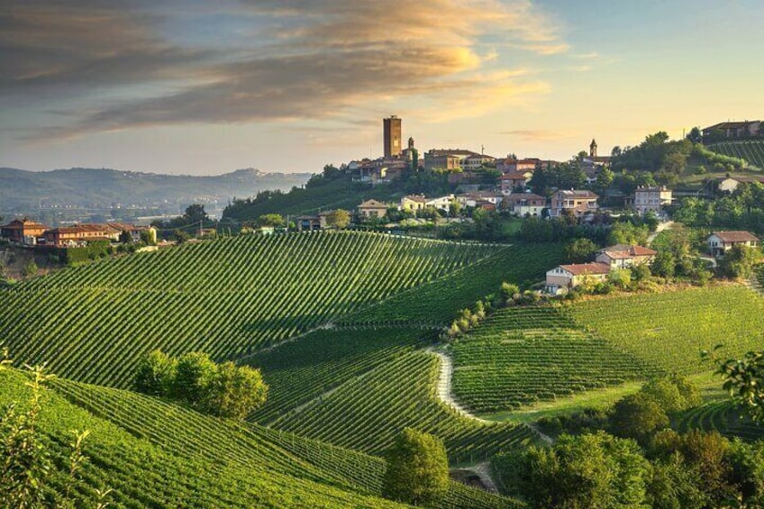 Barolo & Barbaresco Wine Tasting Tour–Alba & Piedmont from Milan