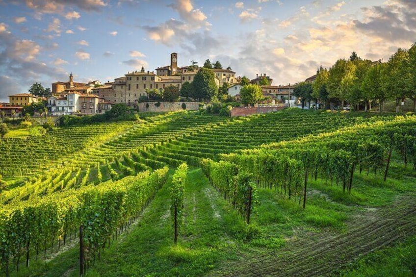 Barolo & Barbaresco Wine Tasting Tour–Alba & Piedmont from Milan