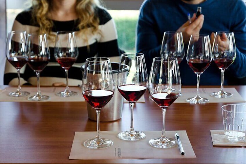 Barbaresco Wine Tasting, Piedmont & Alba from Milan