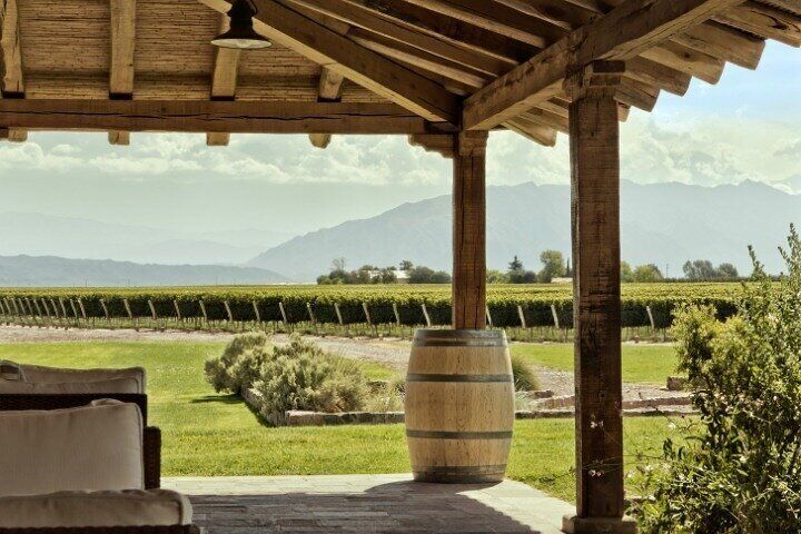 Capture the Lovely landscape and beautiful vineyards! 