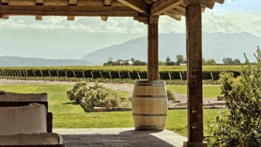 Capture the Lovely landscape and beautiful vineyards!