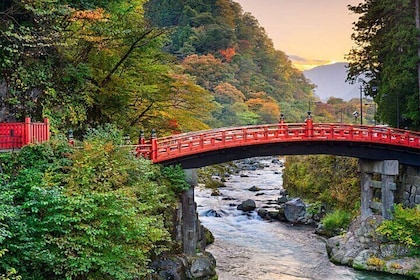 Nikko Toshogu Shrine day Trip with English professional Guide