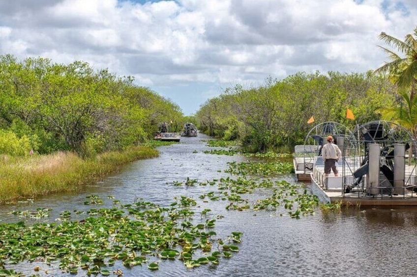 Wildlife Adventure Airboat Tours