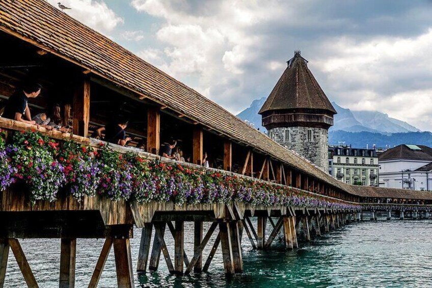 Lucerne 