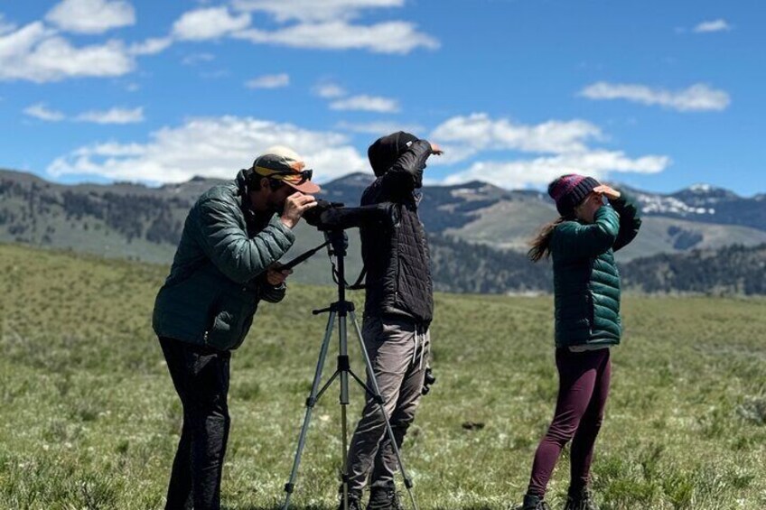 Two Day Fully Private Yellowstone Tour